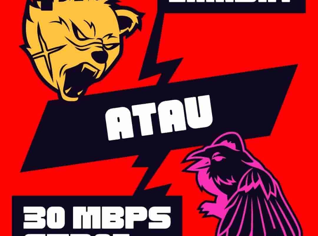 30 Mbps Cepat Atau Lambat